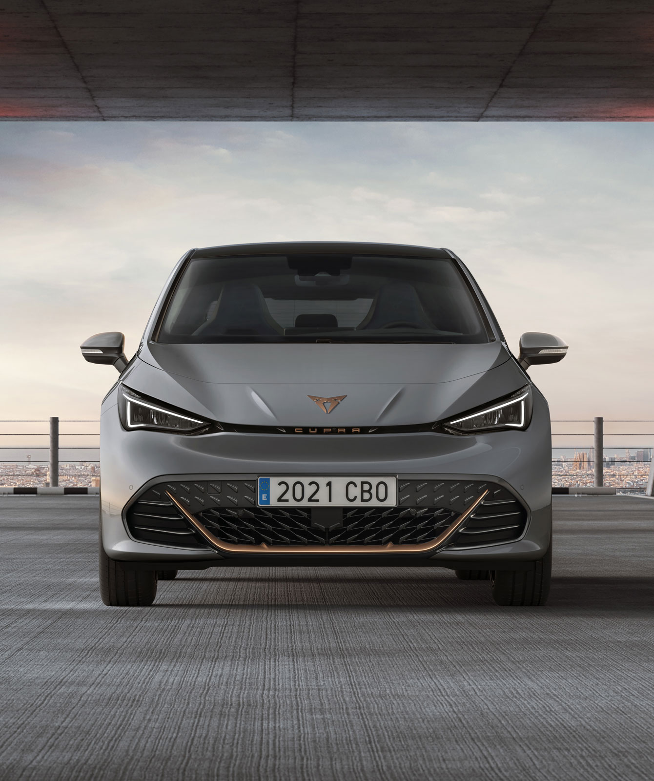 cupra born vapour grey